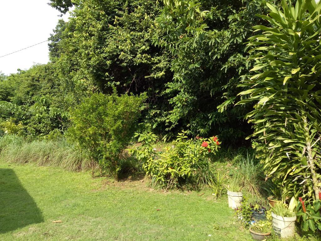 Nas Villaria Langkawi Pantai Cenang  Zewnętrze zdjęcie